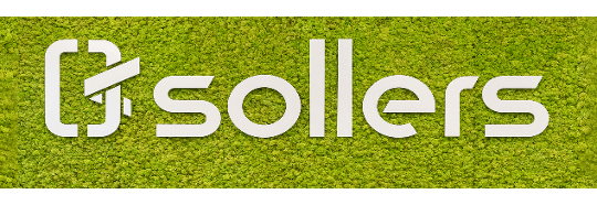 Banner Sollers Consulting