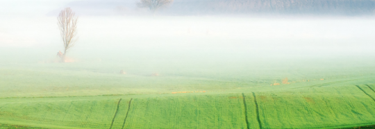 Banner LUVENA Spółka Akcyjna