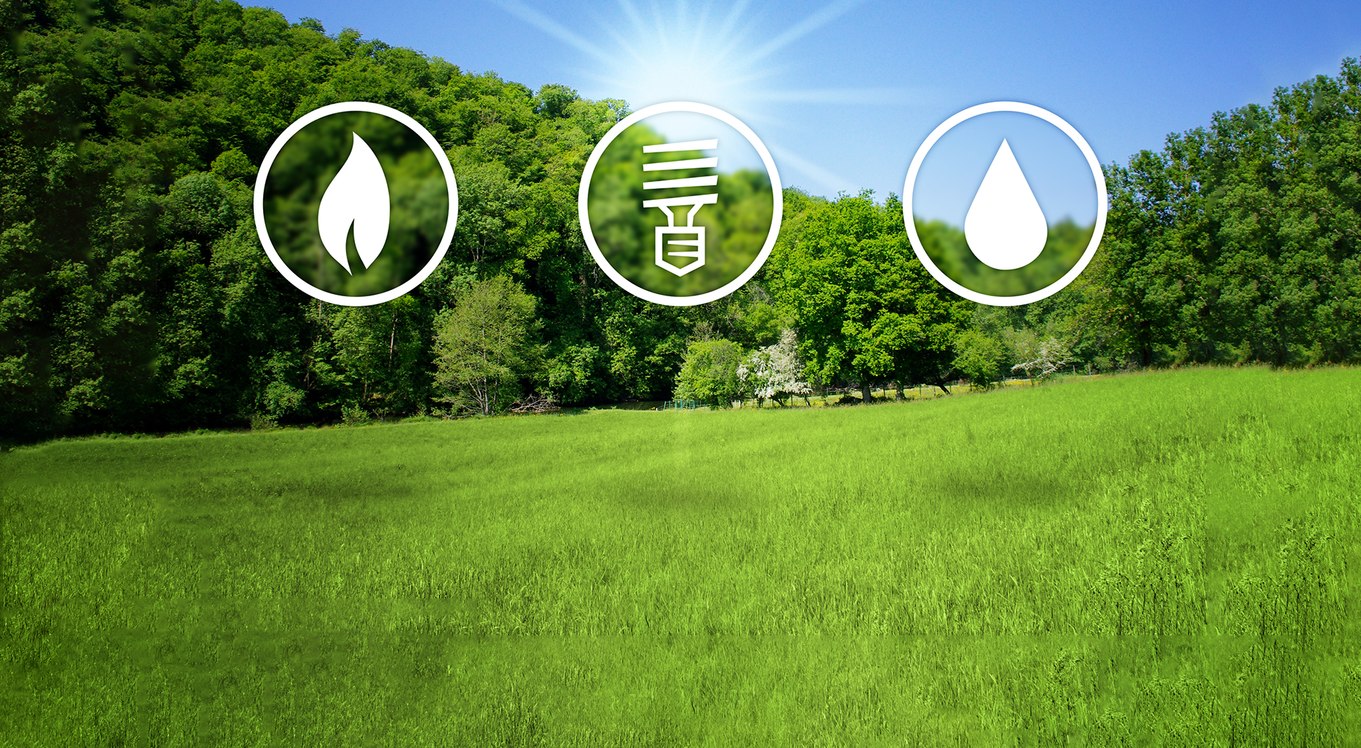 <b>Our race to green</b>