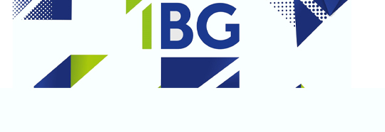 Banner IBG Instalbud sp. z o.o.