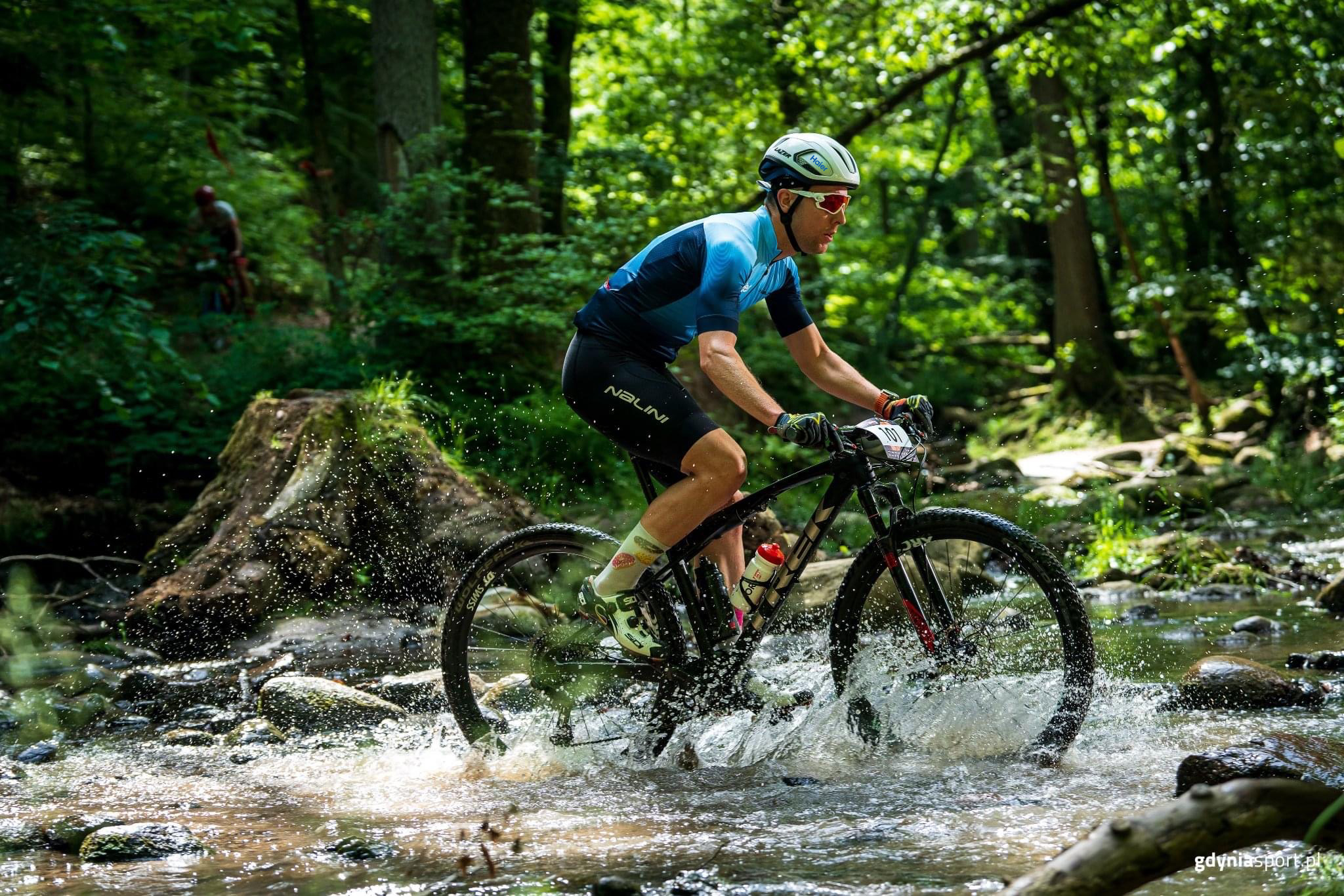 Oferta pracy Dyrektor Finansowy/CFO, Iglotech Sp. z o.o, Kwidzyn